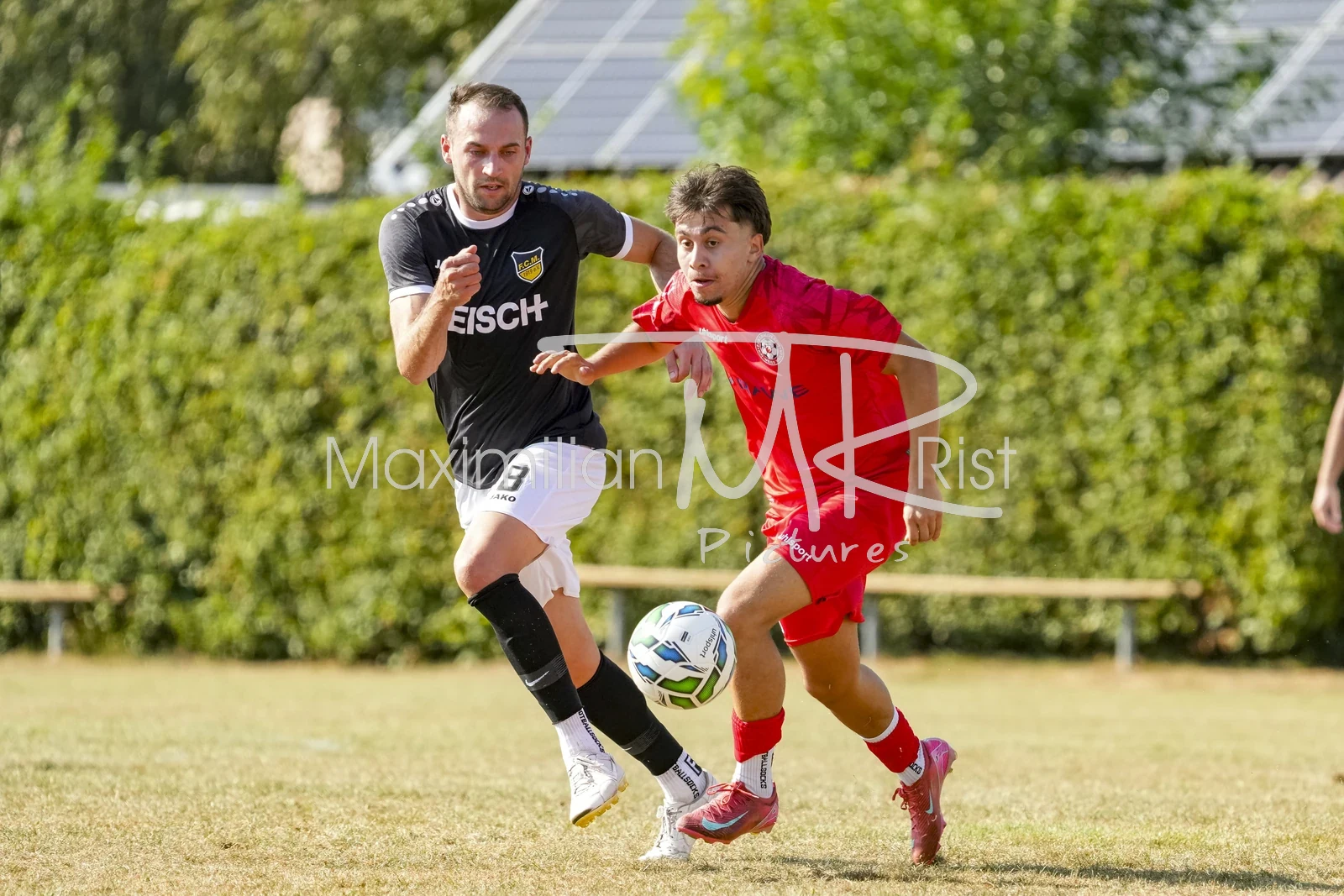 26.08.15_MRP_FVW-FCM_MRP07967.JPG