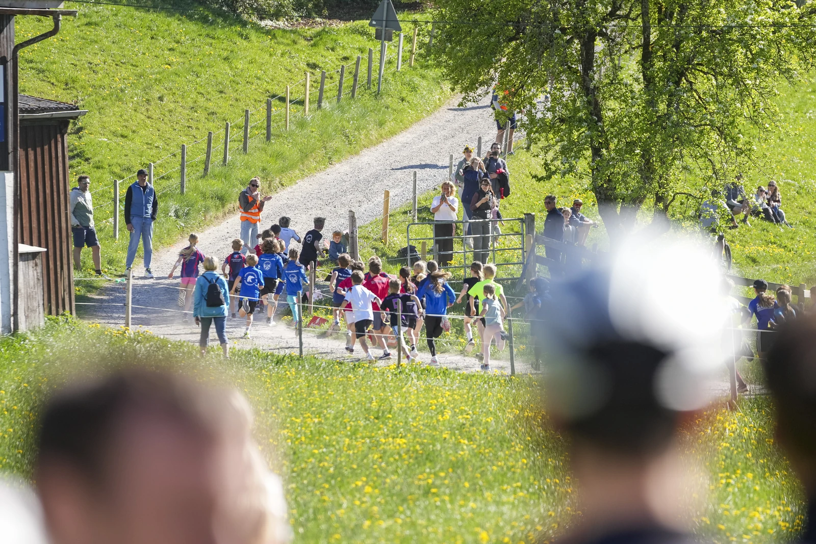 26.04.30_MRP_Kugelberglauf_MRP07122.JPG