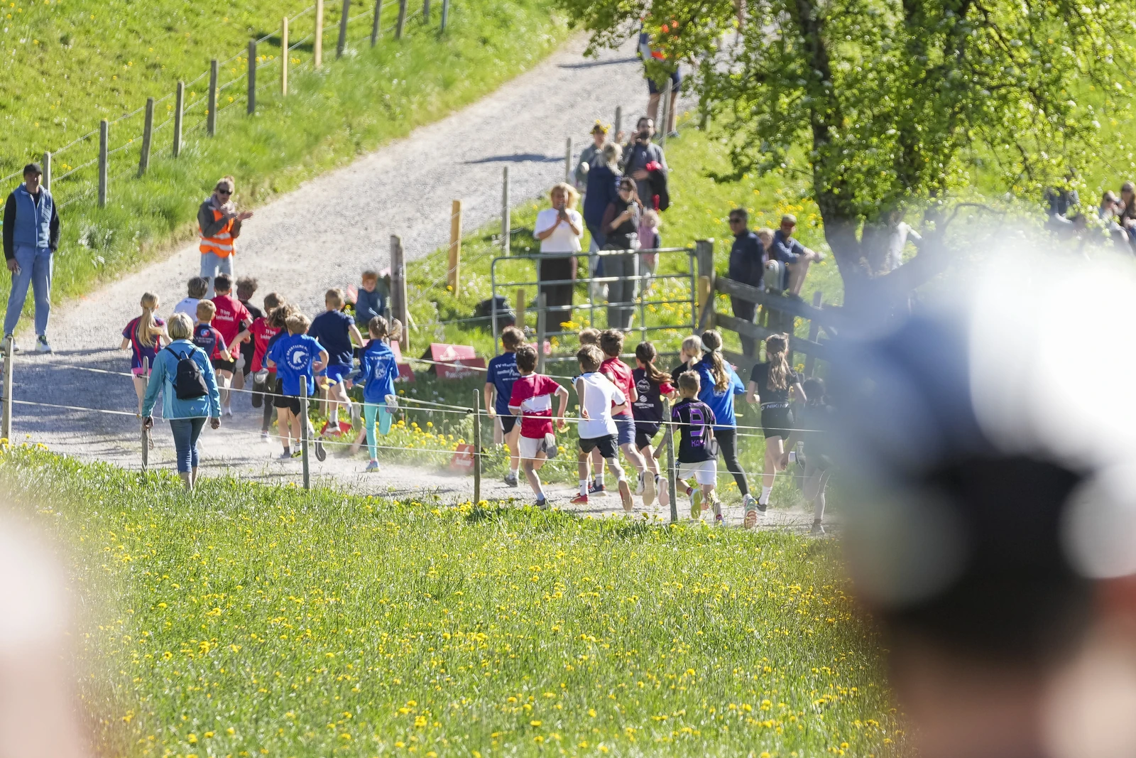 26.04.30_MRP_Kugelberglauf_MRP07114.JPG