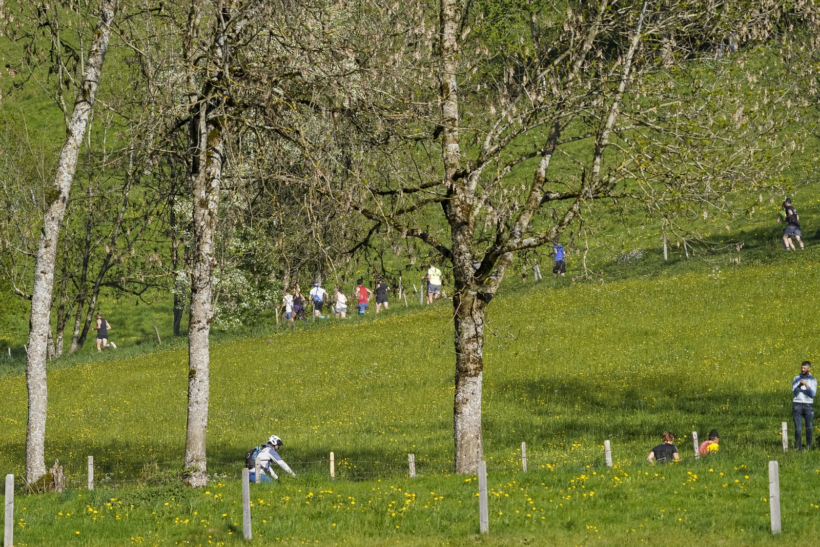 26.04.30_MRP_Kugelberglauf_MRP07103.JPG