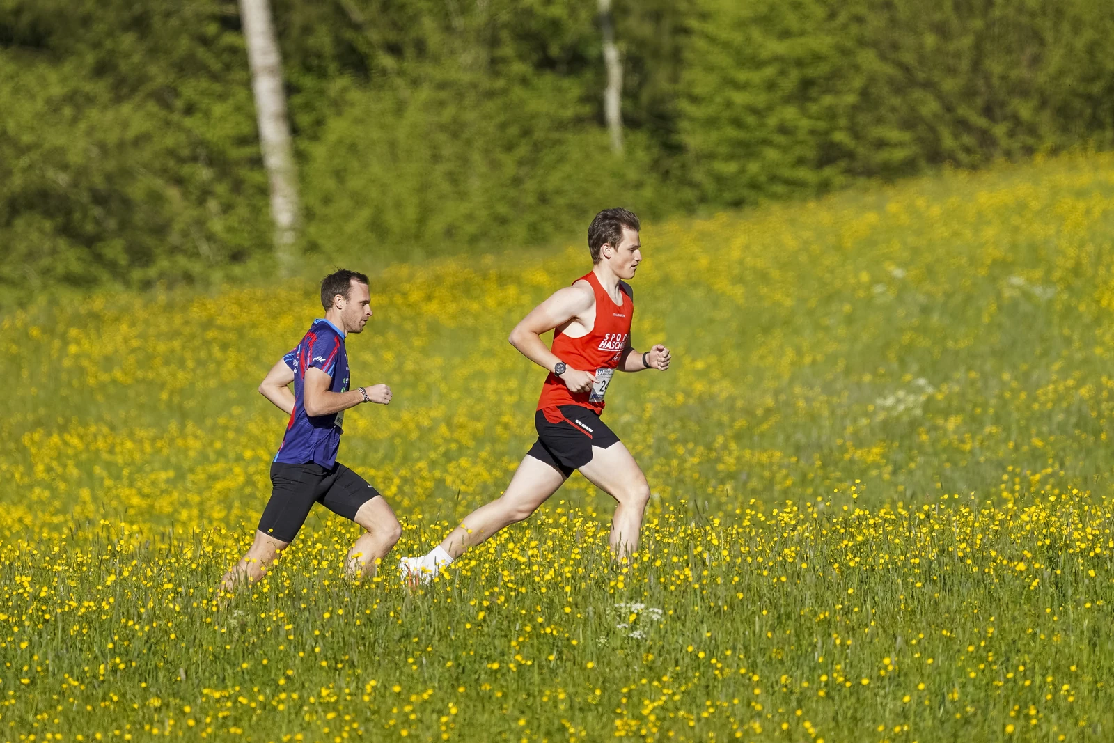 26.04.30_MRP_Kugelberglauf_MRP07057.JPG