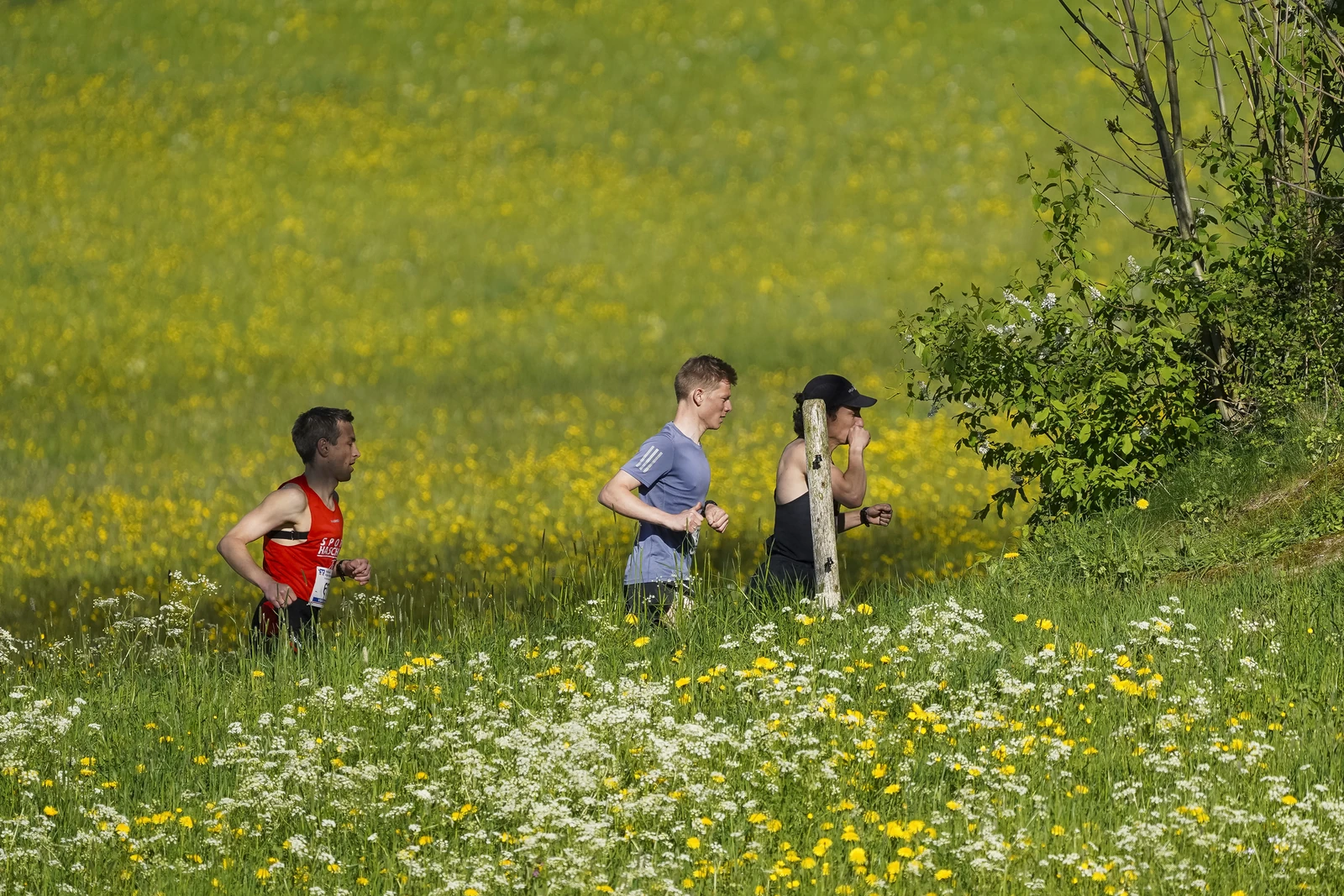 26.04.30_MRP_Kugelberglauf_MRP07073.JPG