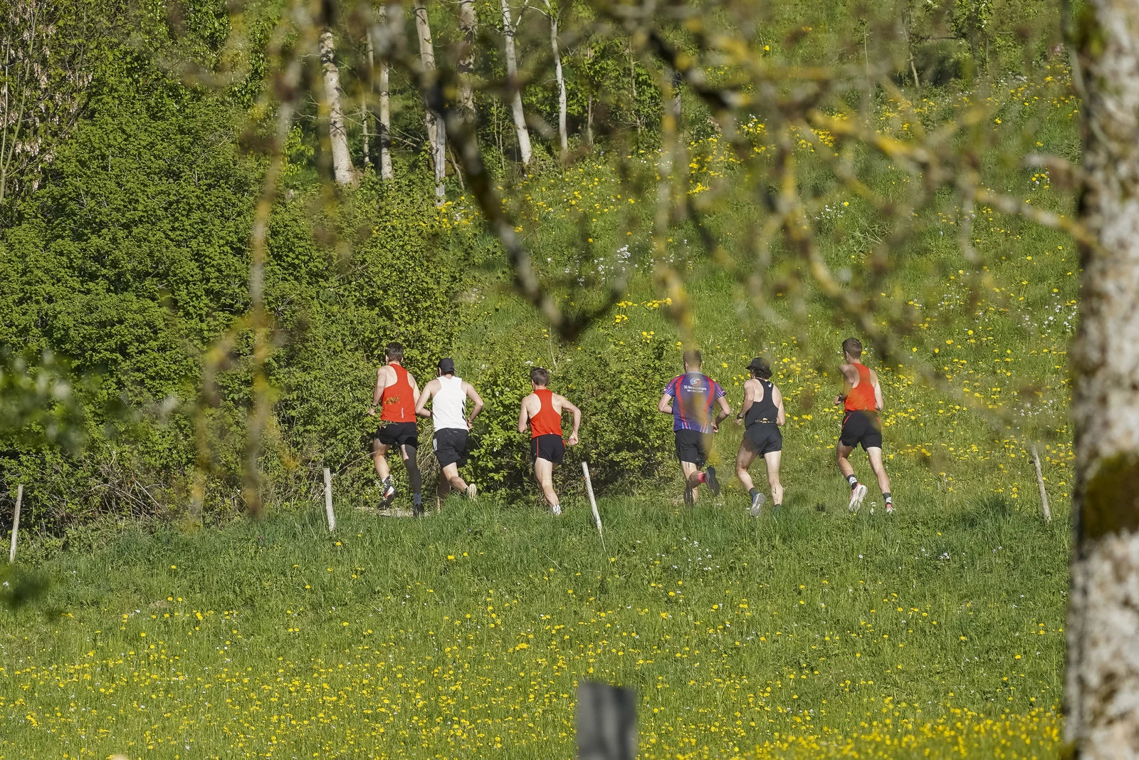 26.04.30_MRP_Kugelberglauf_MRP07089.JPG
