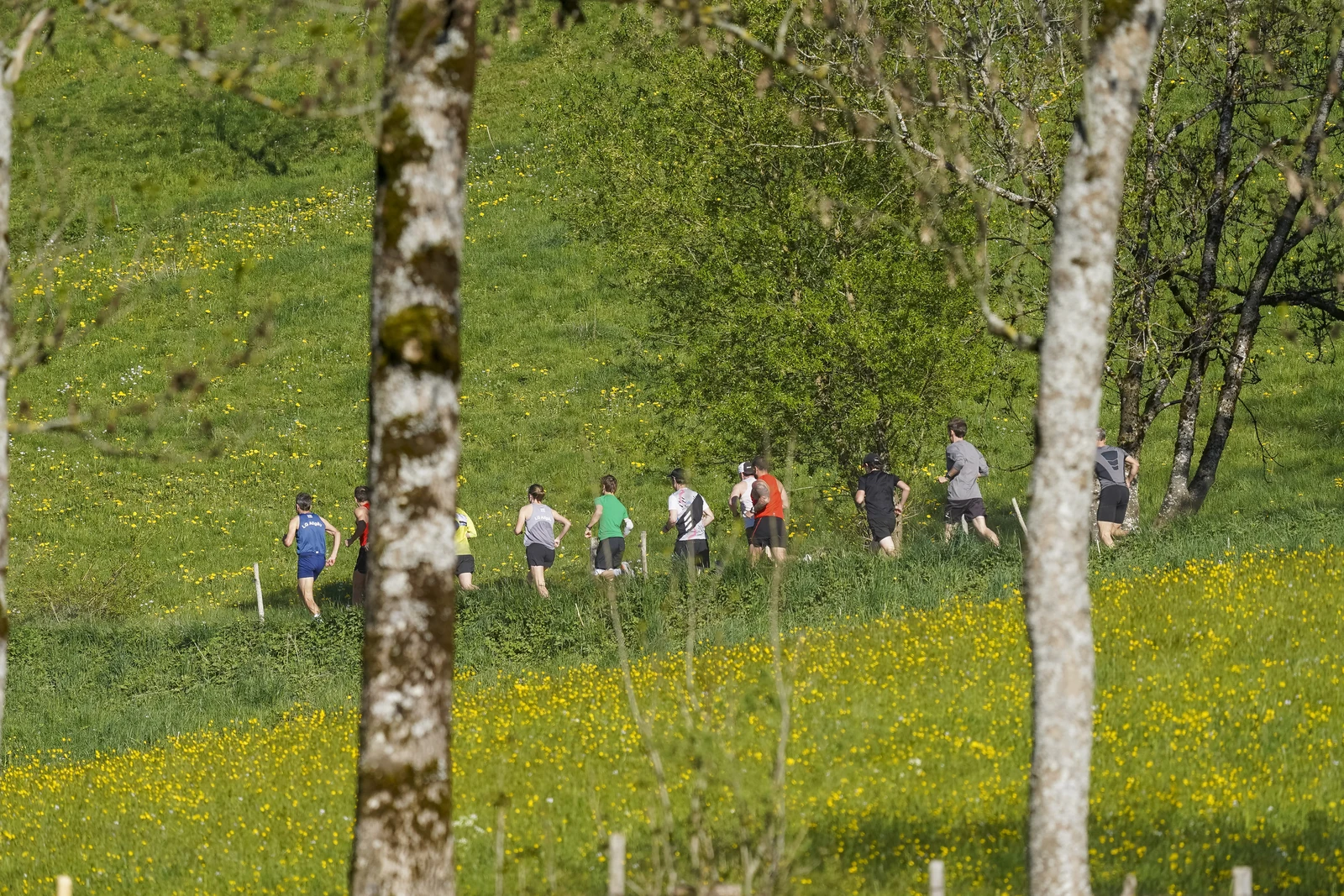 26.04.30_MRP_Kugelberglauf_MRP07095.JPG