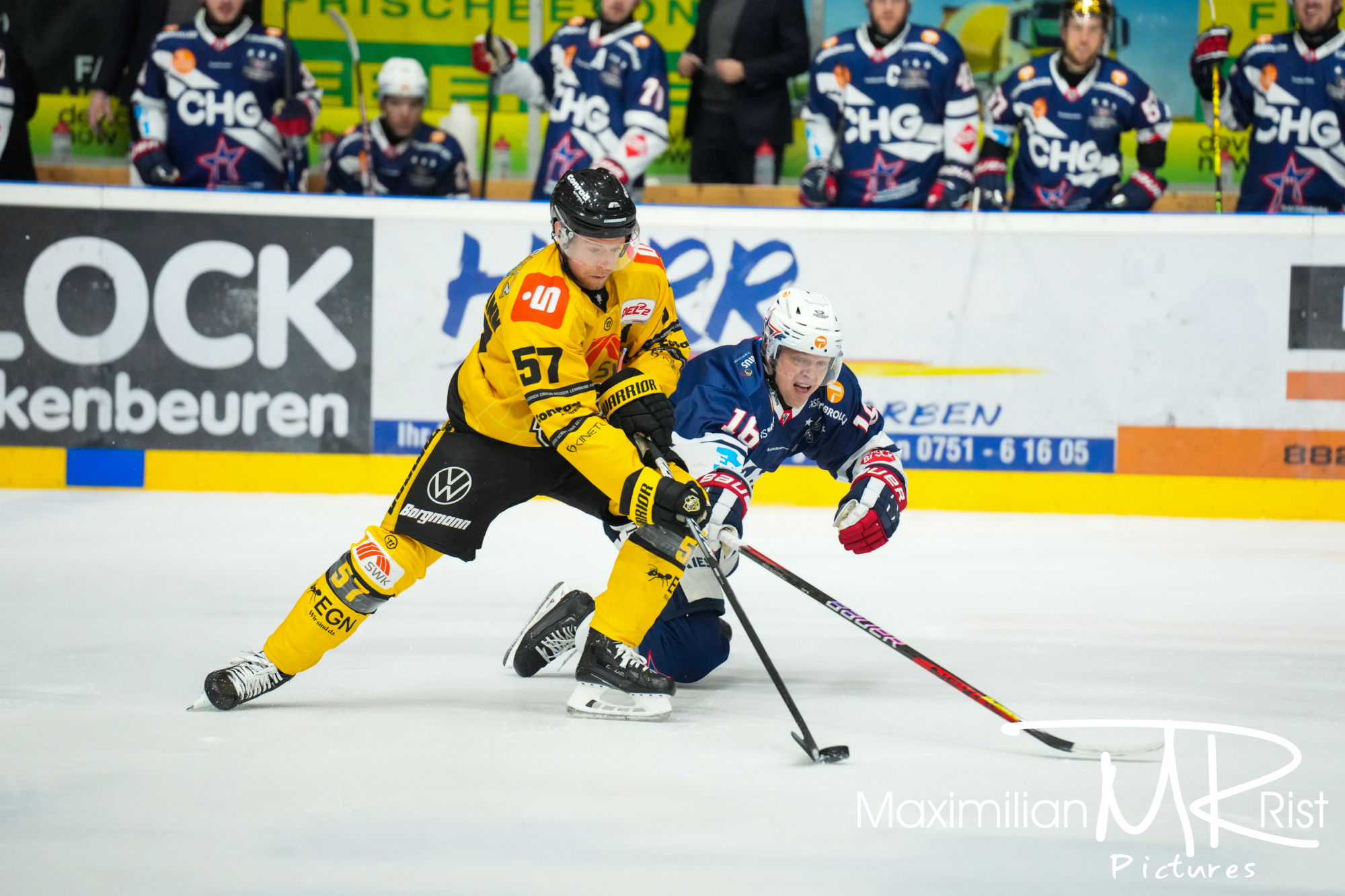 GER, Ravensburg Towerstars vs. Krefeld Pinguine, Eishockey, DEL2, 12. Spieltag, Spielzeit 2024/2024,  08.12.23