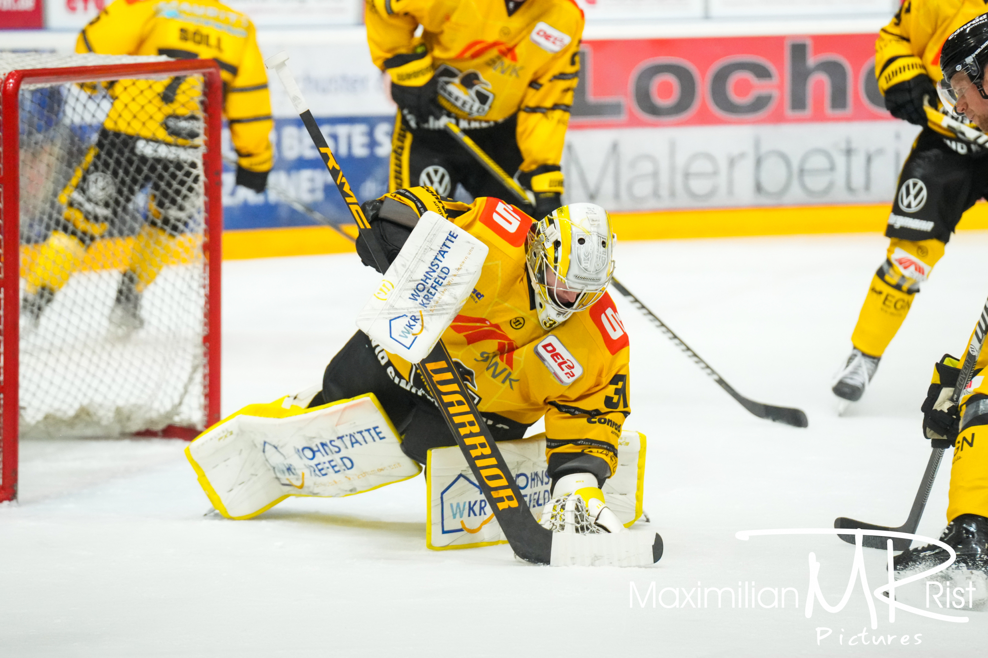 GER, Ravensburg Towerstars vs. Krefeld Pinguine, Eishockey, DEL2, 12. Spieltag, Spielzeit 2024/2024,  08.12.23