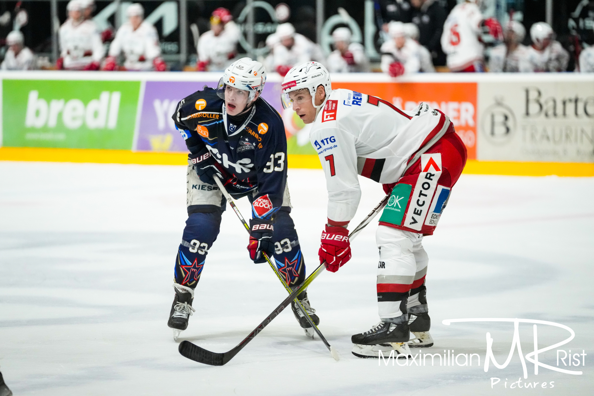 GER, Ravensburg Towerstars vs. Eisbaeren Regensburg, Eishockey, DEL2, Playoff Viertelfinale Spiel 2, Spielzeit 2024/2024,  15.03.24